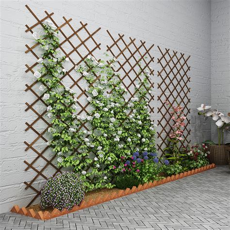 攀藤植物 玄關走廊設計